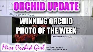 My Orchid featured on the American Orchid Society website!