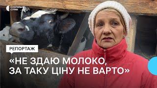 «Не здаю молоко, за таку ціну не варто»: чому не вигідно утримувати велику рогату худобу