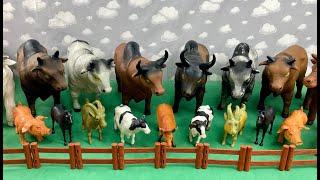 GIANT OXES, GIANT HORSES AND OTHER FARM ANIMALS/BOIS GIGANTES, CAVALOS GIGANTES E OUTROS ANIMAIS