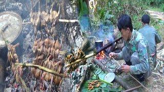 Hunting and Cooking Birds in The forest-Yos hav zoov tua noog