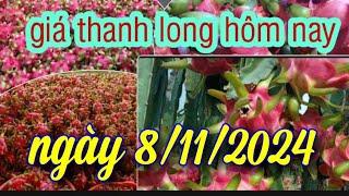 giá thanh long hôm nay ngày 8/11/2024