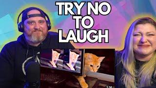 UNUSUAL MEMES COMPILATION V251 @UnusualVideos | HatGuy & @gnarlynikki Try Not To Laugh