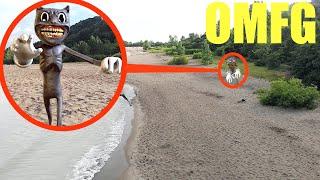 you won't believe what my drone caught on camera at the beach (cartoon cat sighting)