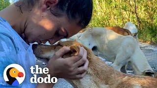 Two Girls Found a Dog Who Was Nursing Puppies – So They Kept Coming Back Every Day | The Dodo Heroes