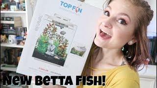 Top Fin Waterfall 5 Gallon Tank Unboxing/Setup! + My New Betta Fish | Alyssa Nicole |