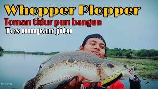 Whopper Plopper  Lure Exen.Umpan untuk casting Toman Kerandang.Gabus