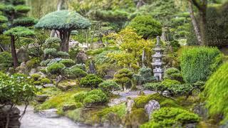 JAPANESE GARDEN • 10H Calming Nature Sounds • Ft. Shishi-Odoshi
