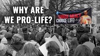 Why Be Pro-Life? A Way to Explain It!