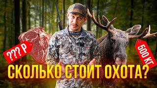 Сколько стоит стать ОХОТНИКОМ?  Выгодно ли добывать мясо на охоте? Считаем ЗАТРАТЫ на ОХОТУ!