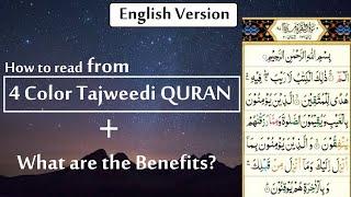 How to read from 4 color Tajweedi QURAN | English Version | #islamtv