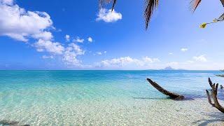 Tahiti Dream: 3 Hour Meditation Video For Stress Relief