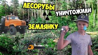 ХОТЕЛИ ДОСТРОИТЬ ЗЕМЛЯНКУ, А НА ТОМ МЕСТЕ ЛЕСОРУБЫ ВСЁ УНИЧТОЖИЛИ!!! ЧТО ТАМ ПРОИЗОШЛО?