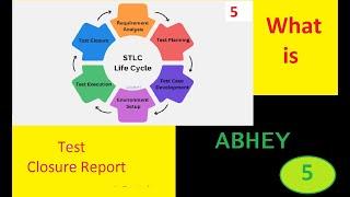 #TestClosureReport, #STLC, #testcase, #testscript, #Defect ReportingTool, #Test Report