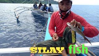 vlog27- Handline Fishing/catch and cook "Silay Miloy" fish PART 1