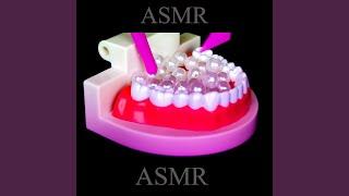 ASMR Dentist