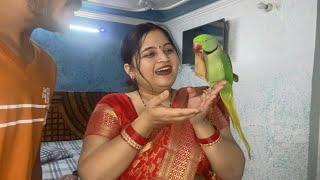 Sona ko mila mama se pesa kanya pujan ka #HappyNavratri #sonaliparrot #parrotvideo