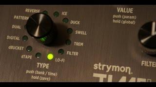 Strymon - Timeline -lo-fi- - bitcrusher and sample reduced delay...