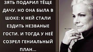 Зять подарил тёще дачу. Но она была в шоке: к ней стали ездить незваные гости. И тогда у неё...