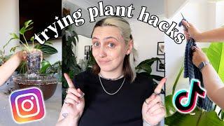 do these plant hacks really work??