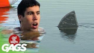 Shark Attack Prank