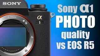 Sony Alpha 1 PHOTO quality vs Canon EOS R5 review