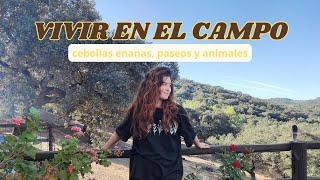 NUESTRA VIDA COTIDIANA EN EL CAMPO #vidarural #vidaenelcampo #naturaleza #amantesdelanaturaleza