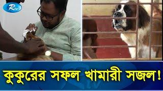 অস্ট্রেলিয়ায় পড়াশোনা, দেশে ফিরে গড়লেন কুকুরের খামার  | Dog Farm | Dog | Rtv News