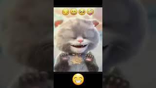 Kucing Viral tik tok