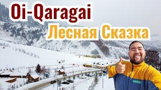 Ой Карагай Лесная Сказка, 2020 год. Обзор курорта. Открытие зимнего сезона.