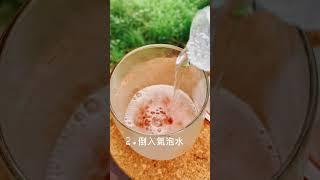 Ms’HOHO & 鬍子茶｜夏日露營冰爽解渴！為你帶來葡萄柚綠茶冰萃的露營美味！