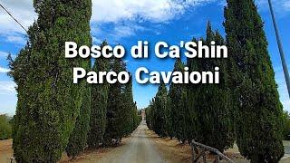 Bosco di Ca' Shin/Parco Cavaioni