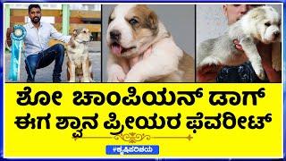 call-8820007007 ALABAI IN INDIA | CENTRAL ASIAN SHEPHERD IN INDIA | IMPORT DOGS IN INDIA