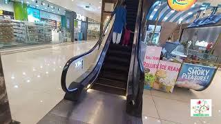 How to use Escalator | Learning To Use the Escalator | How to Ride an Escalator | Learning Life