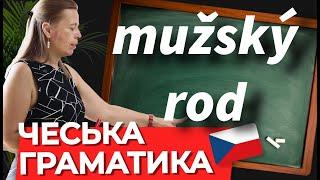 Іменники чоловічого роду множини в чеській мові. Чеська граматика.