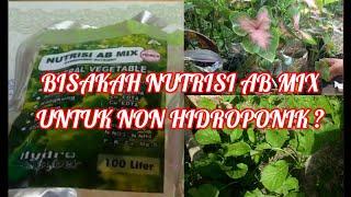 Cara Pemberian Nutrisi AB Mix Untuk Tanaman Non Hidroponik