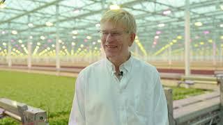 Little Leaf Farms - Testimonial on StarSense™ from BASF | Nunhems