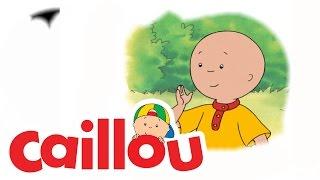 Caillou - Caillou Tries Karate  (S03E01) | Videos For Kids