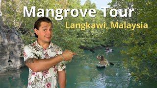 Langkawi Mangrove Tour (Best Tour in Langkawi, Malaysia)