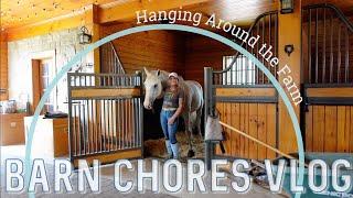 Barn Chores, Mid-Morning Routine & Hanging Around the Farm // EQUESTRIAN VLOG