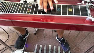 HOW TO PLAY PEDAL STEEL GUITAR FOR BEGINNERS - EPISODE 1