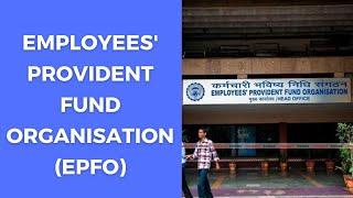 Employees' Provident Fund Organisation (EPFO) क्या होता है (2024)