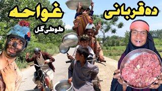 Da Qurbani Ghwahy || New Funny Video 2024 By Tuti Gull Official