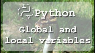 #12 Learn to use Python global and local variables