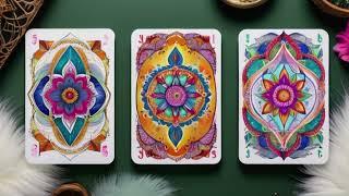 ‍WTF is *HONESTLY* GOING ON IN THIS CONNECTION?!!‍PICK A CARD Reading‍#tarot #lovereading