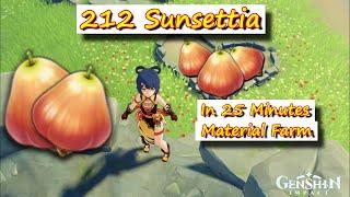 212 Sunsettia in 25 Minutes Mondstadt Region | Genshin Impact Material Farm