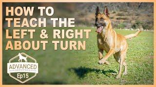 How to Teach Your Dog a Left and Right About Turn. Loose Leash Walking.