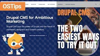 The 2 Easiest Ways to Try Drupal CMS - DDev Local and DrupalForge