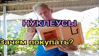 Мои нуклеусы из ППС(пеноплекса) отработали два года.