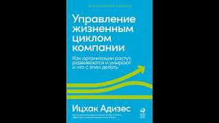 Аудиокнига "Белорусский" Ицхак Адизес