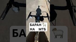 БАРАН НА МТБ - SURLY CORNER BAR  #gravel #гревел #велосипед #mtb #plusbike #мтб #баран